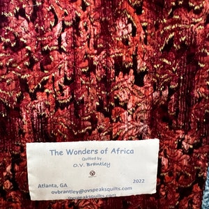 The Wonders of Africa 37 X 43 inch art quilt image 5