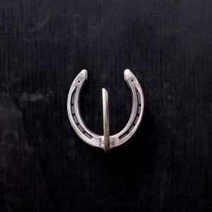 May include: A silver horseshoe-shaped coat hook mounted on a black wall.