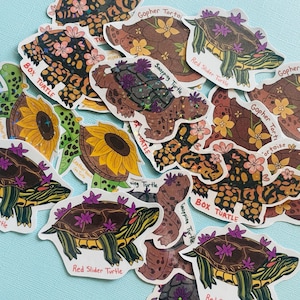 Turtle Stickers