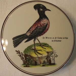 May include: A vintage ceramic plate with a hand-painted illustration of a bird with a red breast and black head. The bird is perched on a rock with green foliage. The text "Le Merle de Couleur de Rouge ou d'Incarnat" is written in French below the bird.