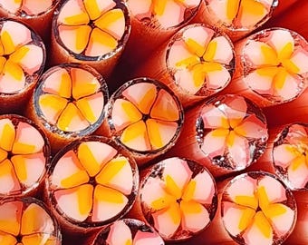 COE 90 Murrini Flower: Pink Plumeria - 1 oz Cane/Sticks