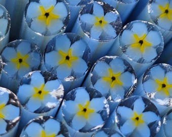 NEW COE 96  Murrini Flower: Hydrangea Blue Forget-Me-Not - 1 oz Cane/Sticks