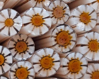 NEW COE 96 Murrini Flower: Chocolate Brownie A La Mode - 1 oz Cane/Sticks - Opaque White Petals, Transparent Purple Center w/ Yellow Dots