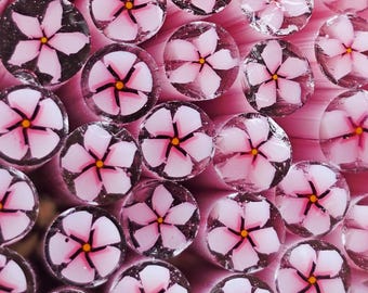 NEW COE 90 Murrini Flower: It's So Pretty - 1 oz Cane/Sticks - Pale Pink Petals, Transparent and Opaque Pink Centers