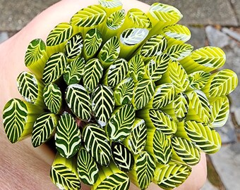 coe 90 Lg/Med Leaf: Limey - 1 oz Murrini Murrine Millefiori Vitrigraph Cane - MINZABELLA MURRINI by Glassworks Northwest
