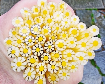 coe 96 Flower: Favorite Daisy - 1 oz Murrini Murrine Millefiori Vitrigraph Cane - MINZABELLA MURRINI by Glassworks Northwest