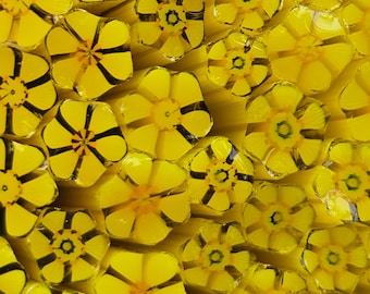 NEW COE 96 Murrini Flower: Daffodil - 1 oz Cane/Sticks - Opaque Yellow Petals, Green & Yellow Centers - March Birth-month Flower Daffodil