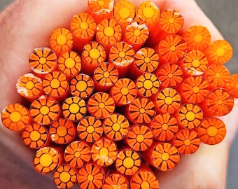 COE 90 Murrini Flower: Mandarin Dream - 1 oz Cane/Sticks