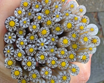 COE 96 Flower Murrini: Be Powerful - 1 oz Cane/Sticks