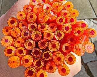 coe 96 Flower: Funtabulous - 1 oz Murrini, Murrine, Millefiori, Vitrigraph Cane - MINZABELLA MURRINI by Glassworks Northwest