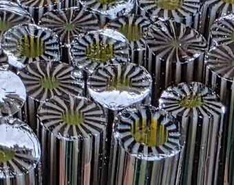 COE 96 Murrini Flower: Zany Zebra - 1 oz Cane/Sticks
