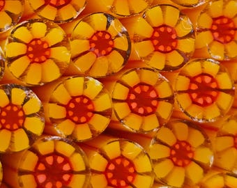 NEW COE 90 Murrini Flower: Tangerine Lemon Cake - 1 oz Cane/Sticks - Opaque Yellow Petals, Transparent Orange Centers w/ White Dots