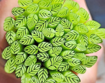coe 96 Med Leaf: Key Lime - 1 oz Murrini Murrine Millefiori Vitrigraph Cane- MINZABELLA MURRINI by Glassworks Northwest