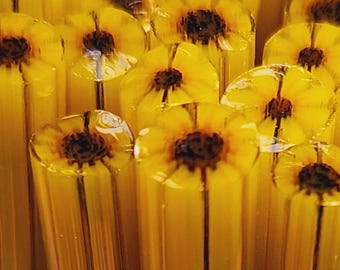 NEW COE 96 Flower Murrini: Super Sunflower - 1 oz Cane/Sticks