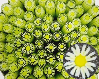 COE96 Flower: Delicate Lime Daisy - 1 oz Murrini, Murrine, Millefiori, Vitrigraph Cane - MINZABELLA MURRINI by Glassworks Northwest
