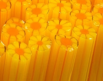 COE 90 Murrini Flower Murrini: Live It Up - 1 oz Cane/Sticks