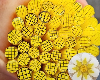 coe 96 Flower Center: Yellow White - 1 oz Murrini Murrine Millefiori Vitrigraph Cane- MINZABELLA MURRINI by Glassworks Northwest