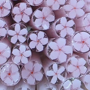 COE 96 Handmade Flower Murrini "Cherry Blossom" | 1 oz Cane | Oceanside Compatible Fusible Glass for Fusing, Jewelry, Mosaics