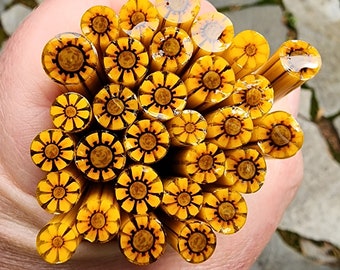 COE90 Flower: Heavenly Sunflower - 1 oz Murrini Murrine Millefiori Vitrigraph Cane - MINZABELLA MURRINI by Glassworks Northwest