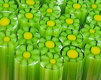 NEW COE 96 Murrini Flower: One in a Melon - 1 oz Cane/Sticks