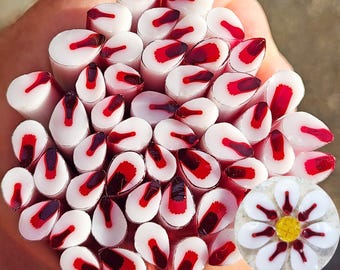 coe 90 Flower Petal: My Love - 1 oz Murrini Murrine Millefiori Vitrigraph Cane - MINZABELLA MURRINI by Glassworks Northwest