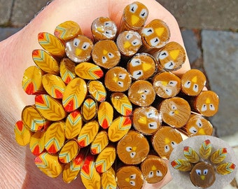 coe 90 Thanksgiving: He's a Turkey 1 oz Murrini Murrine Millefiori Vitrigraph Cane - MINZABELLA MURRINI by Glassworks Northwest