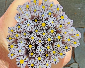 coe 96 Flower: Pretty Purple - 1 oz Murrini Murrine Millefiori Vitrigraph Cane- MINZABELLA MURRINI by Glassworks Northwest