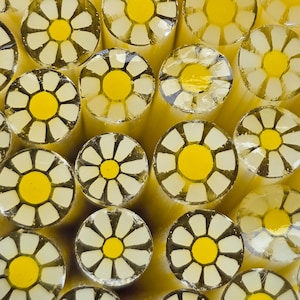 COE 96 Handmade Flower Murrini "Favorite Daisy" | 1 oz Cane | Oceanside Compatible Fusible Glass for Fusing, Jewelry, Mosaics