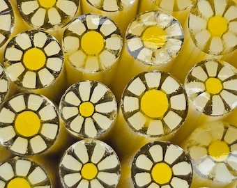 COE 96 Handmade Flower Murrini "Favorite Daisy" | 1 oz Cane | Oceanside Compatible Fusible Glass for Fusing, Jewelry, Mosaics