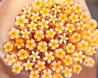 coe 96 Flower: Tropical Vacation - 1 oz Murrini Murrine Millefiori Vitrigraph Cane- MINZABELLA MURRINI by Glassworks Northwest