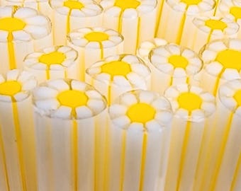 COE 90 Flower: New Beginnings - 1 oz Cane/Sticks