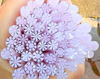 coe 96 Flower: Pastel Pink - 1 oz Murrini Murrine Millefiori Vitrigraph Cane - MINZABELLA MURRINI by Glassworks Northwest