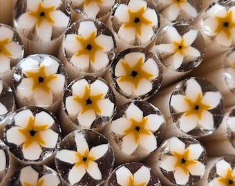 COE 90 Murrini Flower: Coconut Cream - 1 oz Cane/Sticks