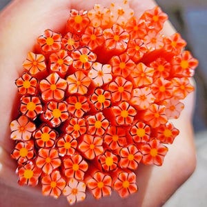 coe 96 Flower: Orange Knockout - 1 oz Murrini Murrine Millefiori Vitrigraph Cane- MINZABELLA MURRINI by Glassworks Northwest