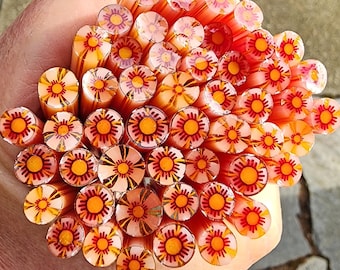 coe 96 Flower: Invincible - 1 oz Murrini, Murrine, Millefiori, Vitrigraph Cane - MINZABELLA MURRINI by Glassworks Northwest