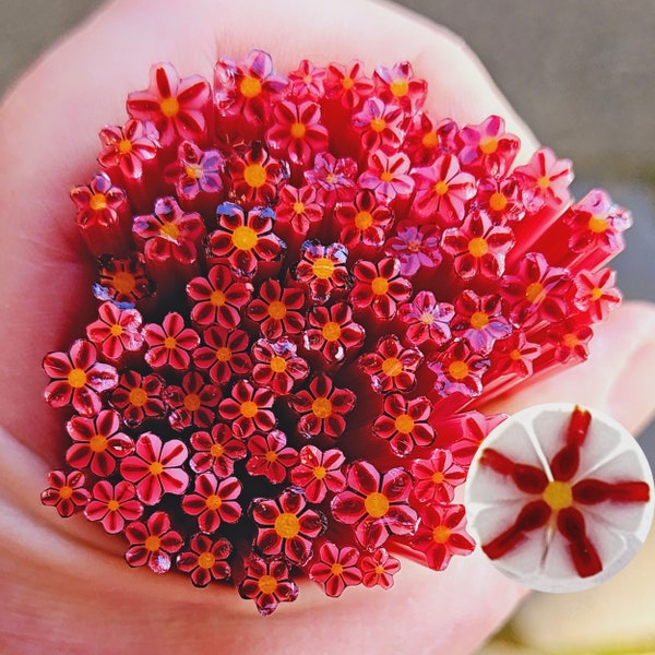 coe 96 Flower:  Cherry Treat Mixed Sizes - 1 oz Murrini Murrine Millefiori Vitrigraph Cane- MINZABELLA MURRINI by Glassworks Northwest