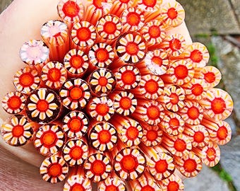 coe 90 Flower: Boy-oh-Boy - 1 oz Murrini Murrine Millefiori Vitrigraph Cane - MINZABELLA MURRINI by Glassworks Northwest
