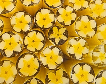 COE 96 Handmade Flower Murrini "Fragrant Plumeria" | 1 oz Cane | Oceanside Compatible Fusible Glass for Fusing, Jewelry, Mosaics