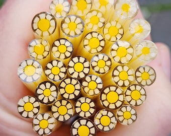 coe 96 Flower: Favorite Daisy - 1 oz Murrini, Murrine, Millefiori, Vitrigraph Cane - MINZABELLA MURRINI by Glassworks Northwest