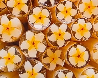 COE 90 Flower Murrini: Perfect Plumeria - 1 oz Cane/Sticks