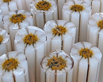 NEW COE 90 Murrini Flower: Toasted Coconut - 1 oz Cane/Sticks
