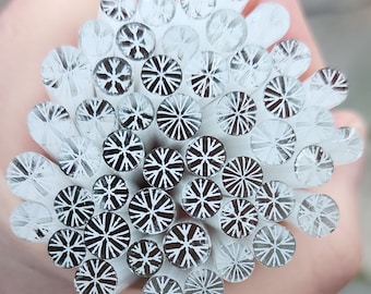 coe 96 Snowflake: First Snow - 1 oz Murrini Murrine Millefiori Vitrigraph Cane- MINZABELLA MURRINI by Glassworks Northwest