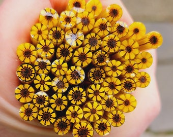 coe 96 Flower: Super Sunflower - 1 oz Murrini Murrine Millefiori Vitrigraph Cane- MINZABELLA MURRINI by Glassworks Northwest