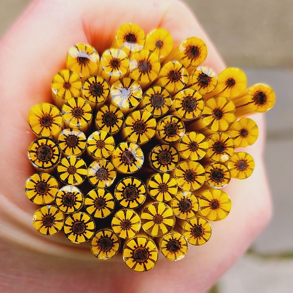 coe 96 Flower: Super Sunflower - 1 oz Murrini Murrine Millefiori Vitrigraph Cane- MINZABELLA MURRINI by Glassworks Northwest