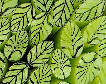 COE 96 Handmade Leaf Murrini "Limey" | 1 oz Cane | Oceanside Compatible Fusible Glass for Fusing, Jewelry, Mosaics