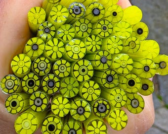 COE 96 Murrini Flower: Gecko - 1 oz Cane/Sticks