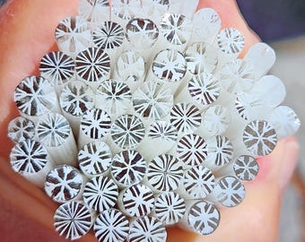 coe 90 Snowflake Mix: Snow Day - 1 oz Murrini Murrine Millefiori Vitrigraph Cane- MINZABELLA MURRINI by Glassworks Northwest