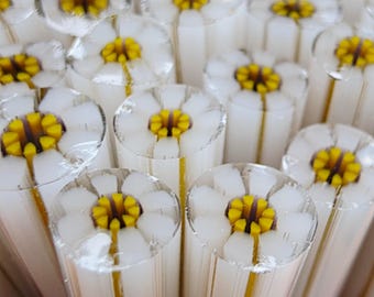 NEW COE 96 Murrini Flower: Seize the Day - 1 oz Cane/Sticks