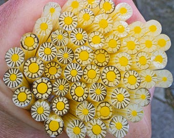 COE 96  Murrini Flower: Fancy Daisy - 1 oz Cane/Sticks