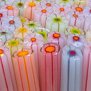 COE 96 Blommurrini: "Rainbow Chaser" (30 ml sockerrör/pinnar) - Ogenomskinliga vita kronblad, ogenomskinliga, brokiga regnbågskärnor - Smältglas